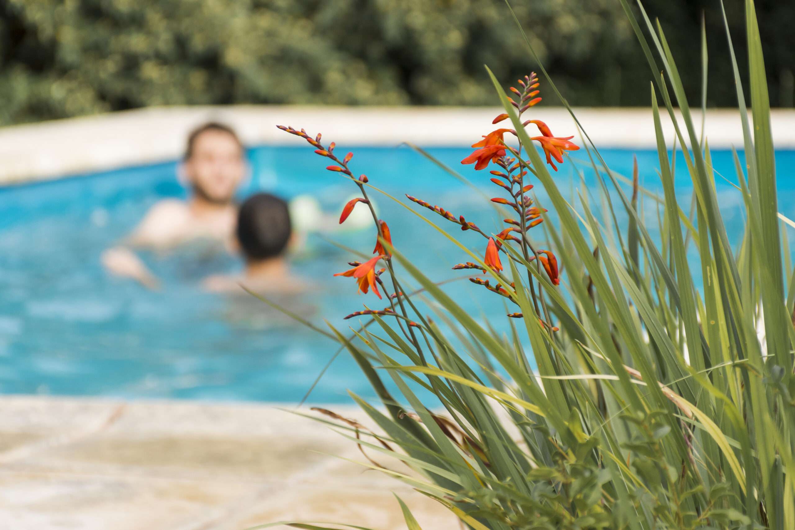 Puesta a punto de piscina en primavera con agua limpia y sistema de filtración funcionando